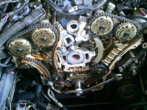 ford-timing-chain | All Pro Automotive